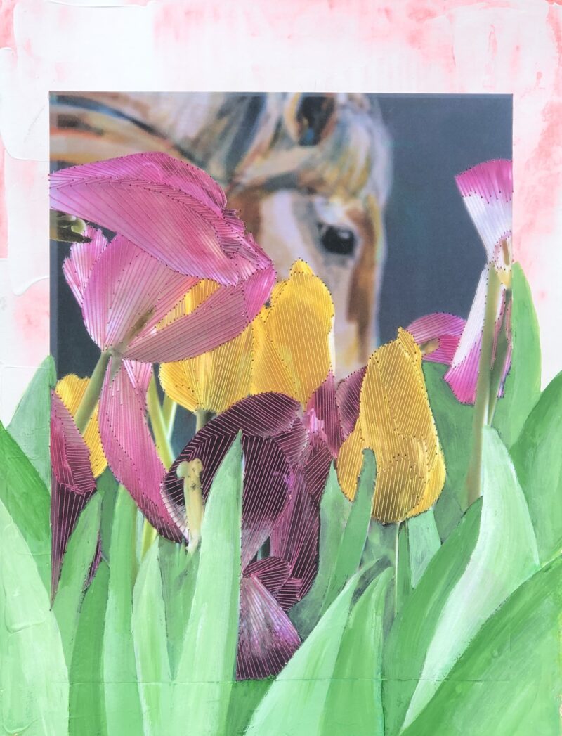 Tulips No.4