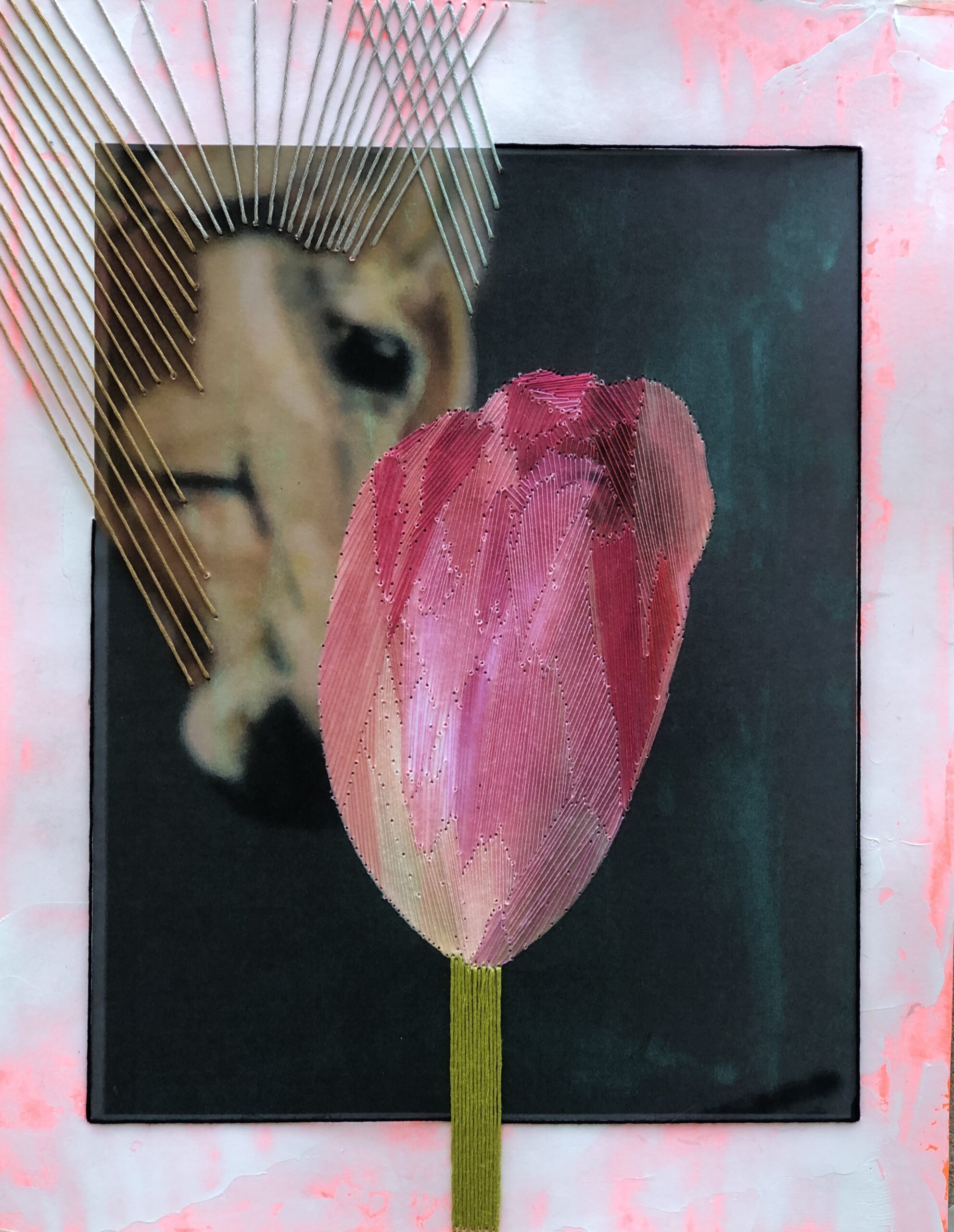 Tulips no.3