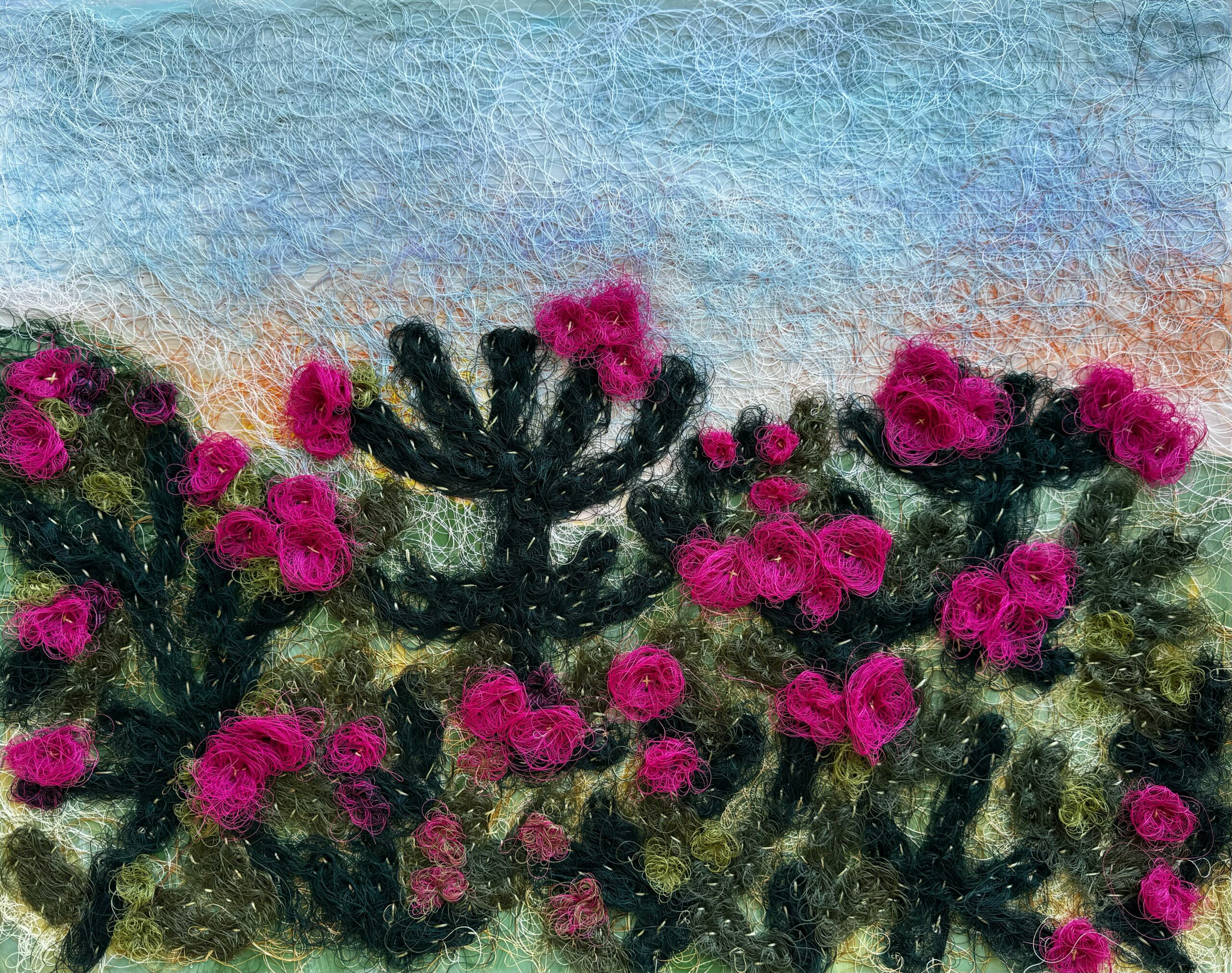Blooming Chollas