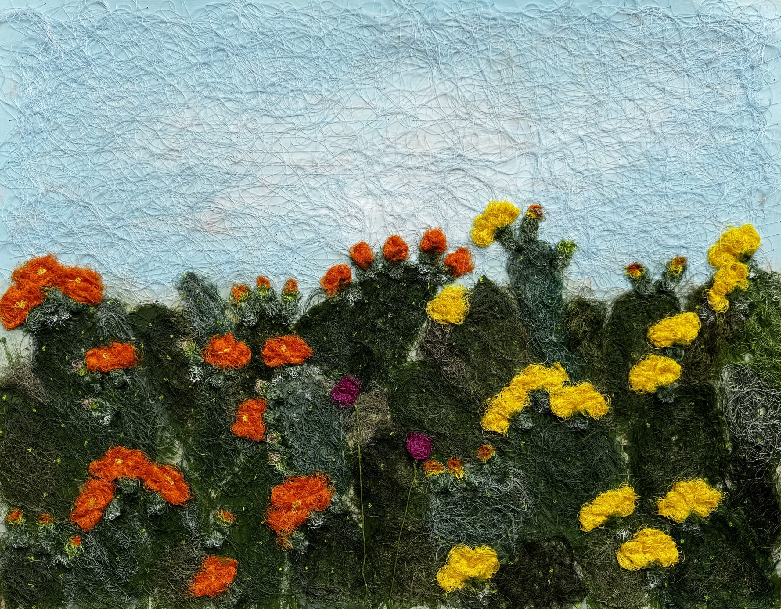 Blooming Prickly Pear Cacti
