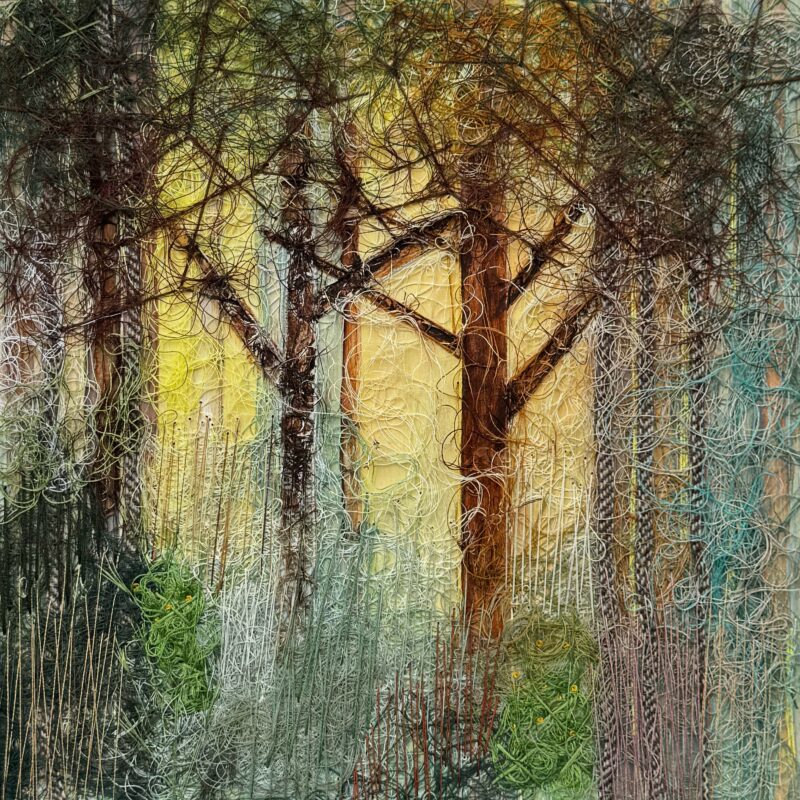 Into The Forest